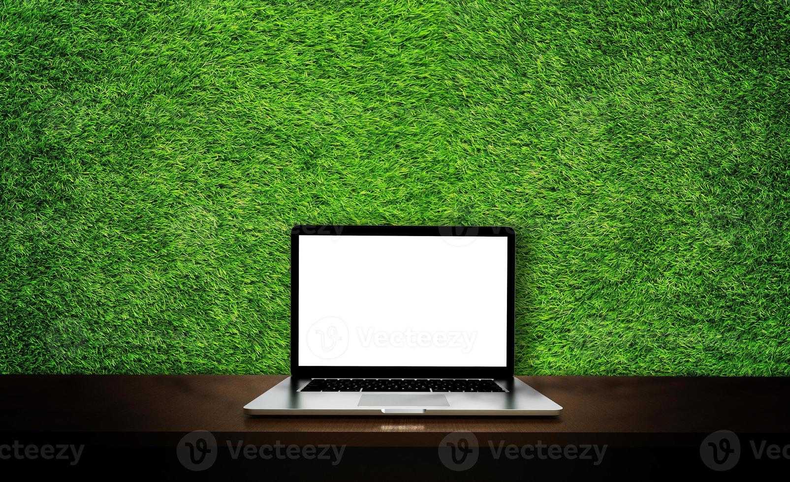 Modern laptop isolated on green grass background. 3D illustration. photo