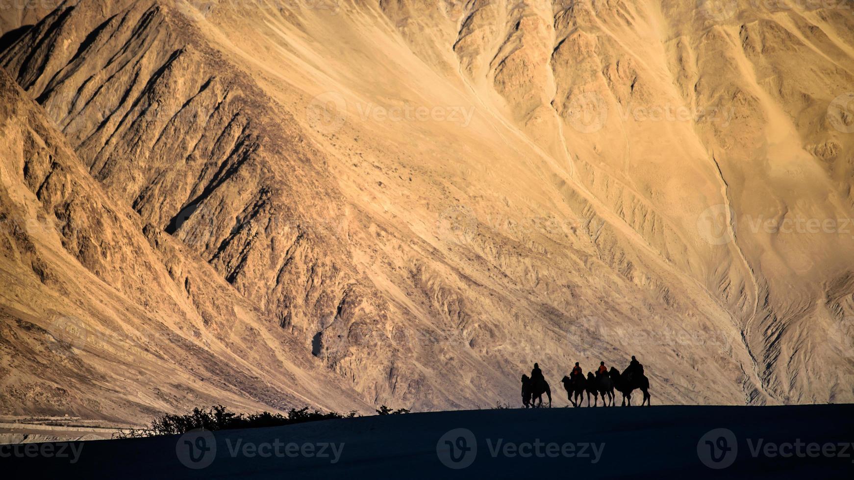 Caravan of people riding on camels in Nubra valley dune photo