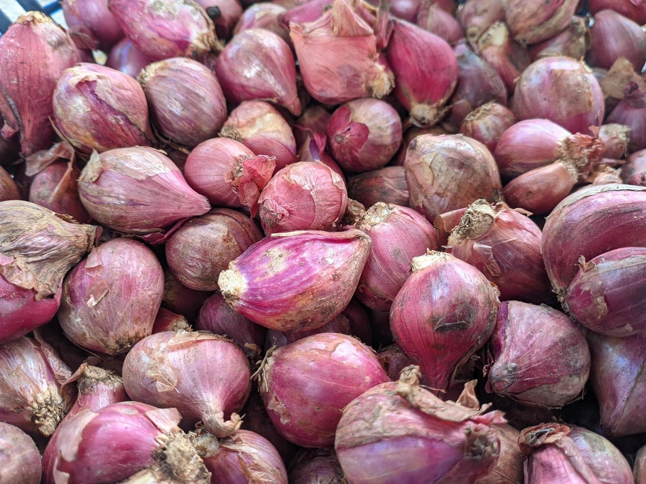 pile of onion patterns.  background, pattern, food, onion photo