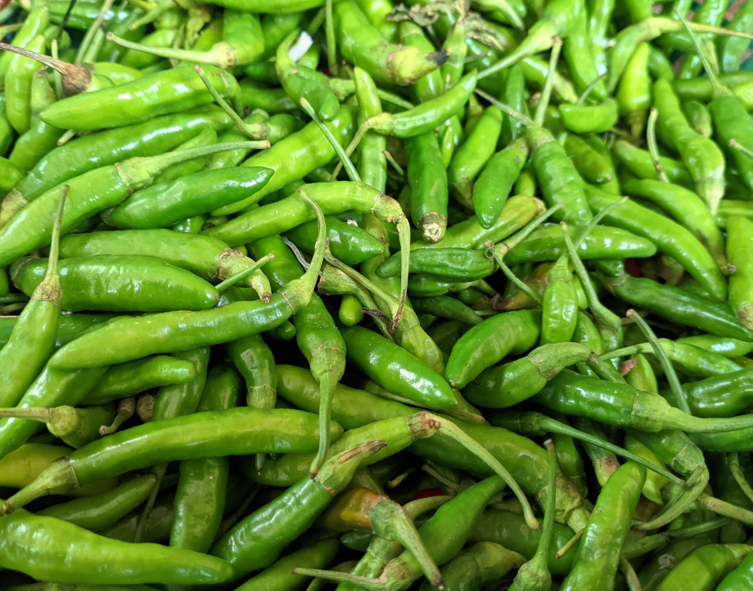 pile of green chilies. chilli, green, pepper, background, pattern