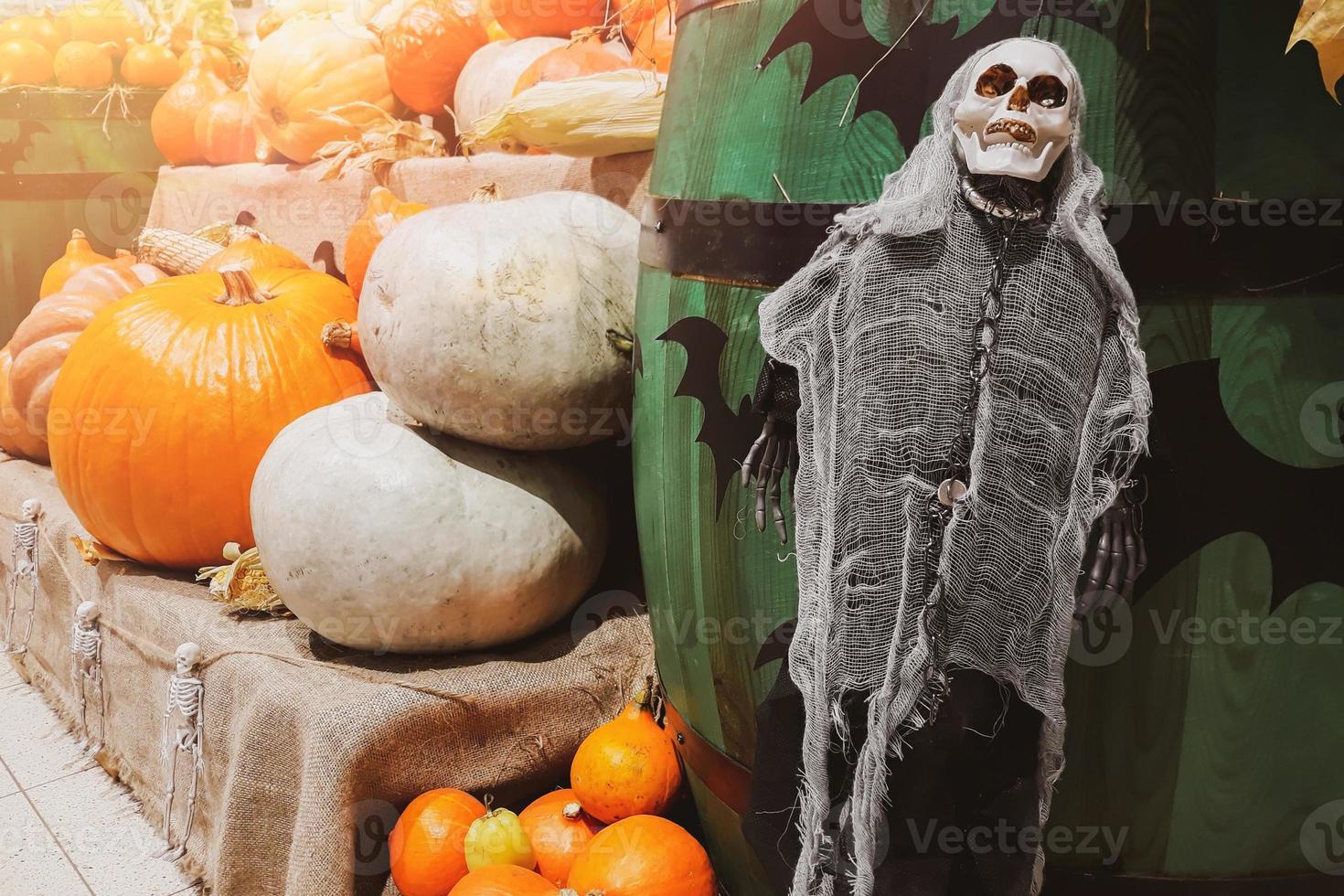 decoraciones de halloween esqueleto y calabazas frescas. Mercado de agricultores. verduras maduras en estanterías a la venta en el campo. foto