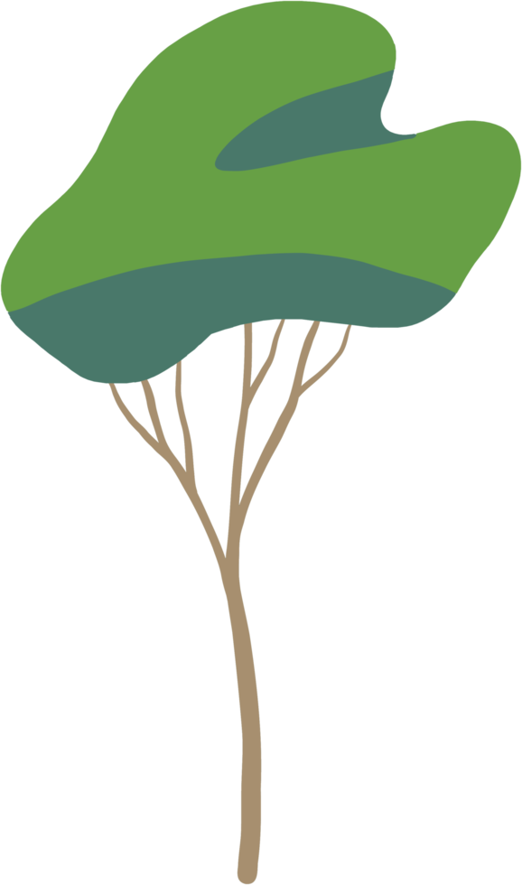 simplicity tree freehand drawing flat design. png