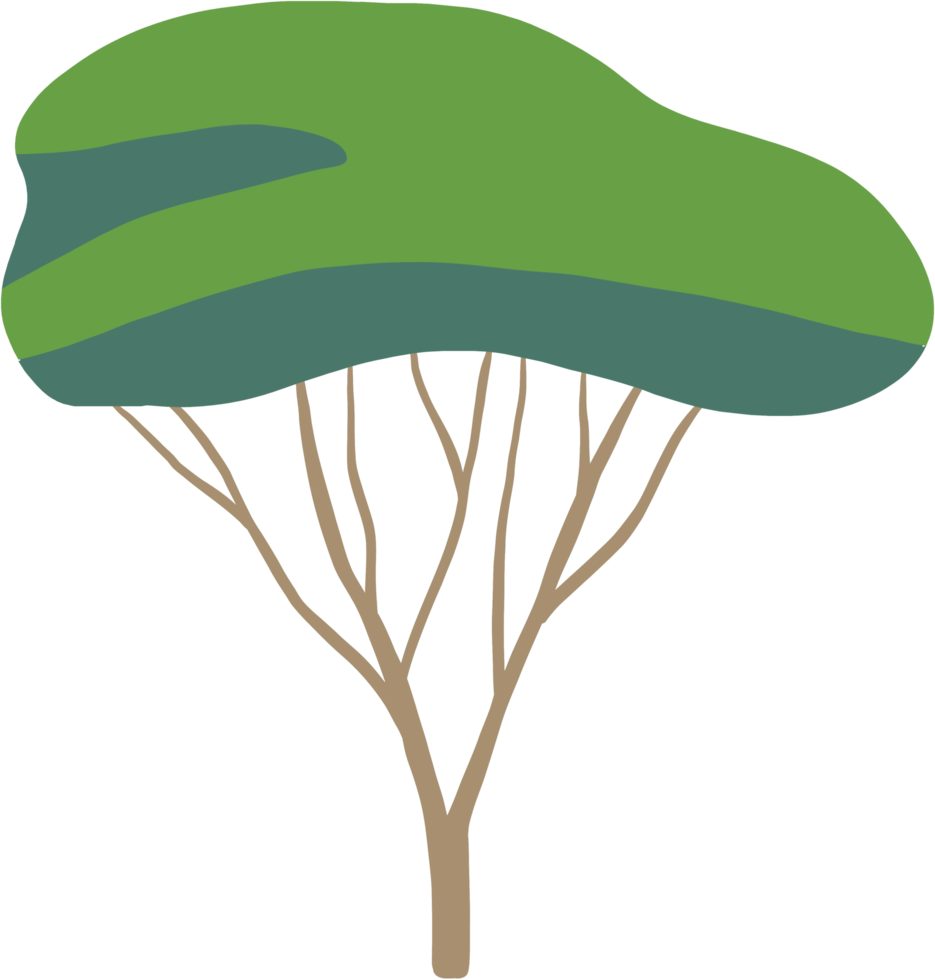 simplicity tree freehand drawing flat design. png