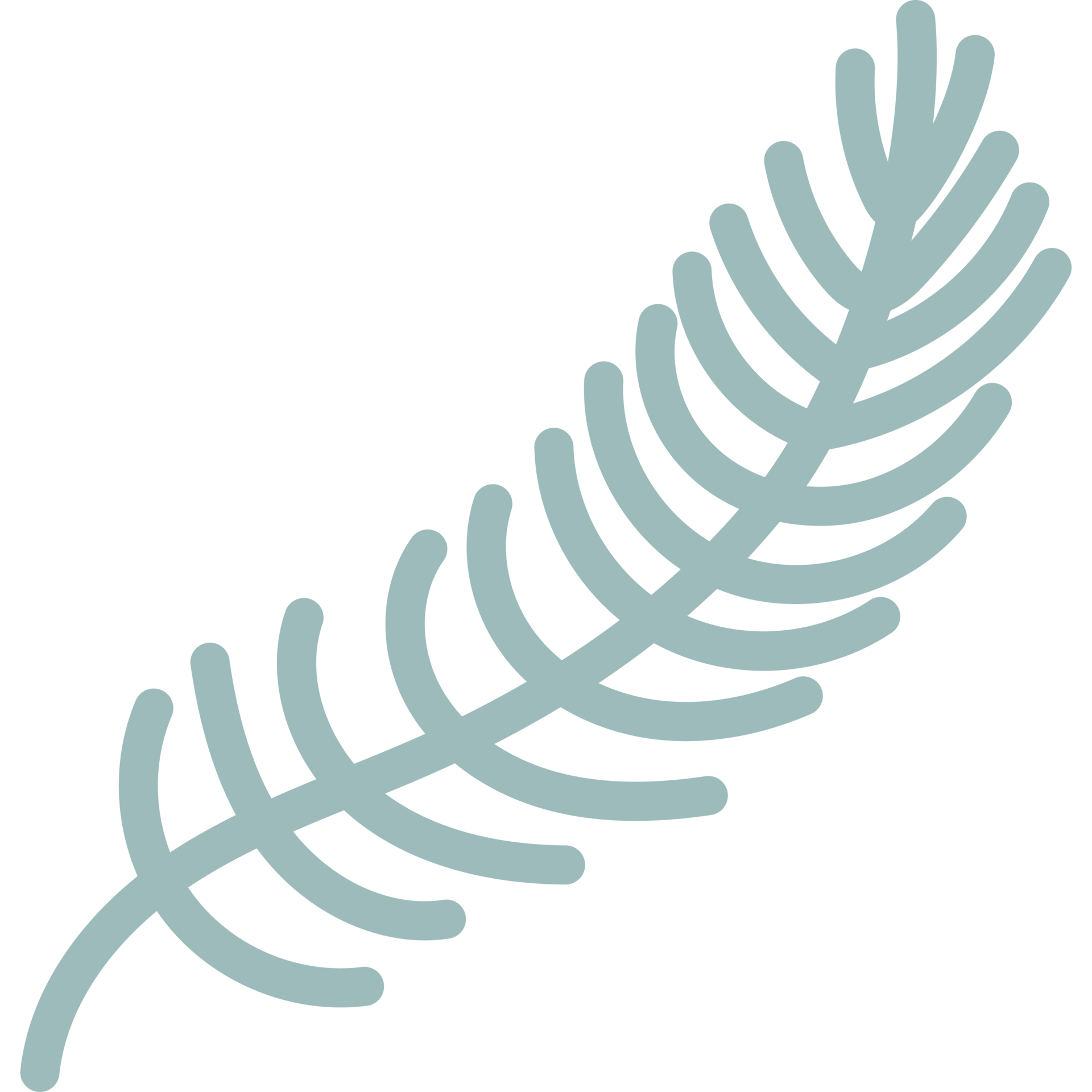 Christmas tree branch 11835862 PNG