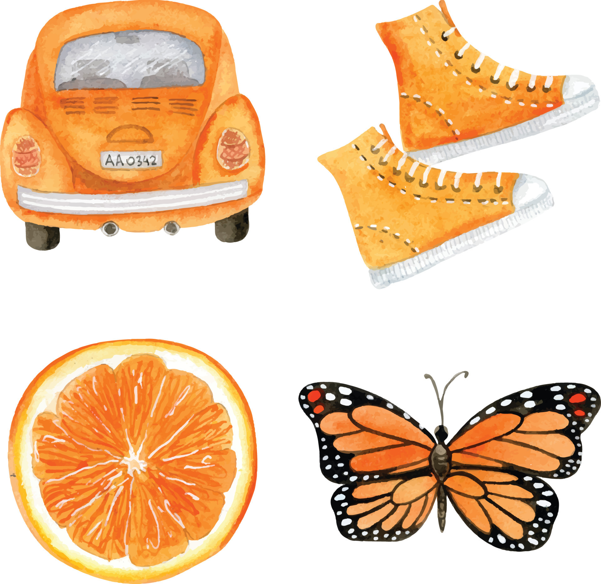 Watercolor orange elements 11835942 Vector Art at Vecteezy