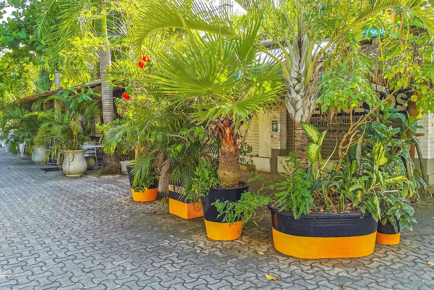 Typical pedestrian street cityscape wall paintings Playa del Carmen Mexico. photo