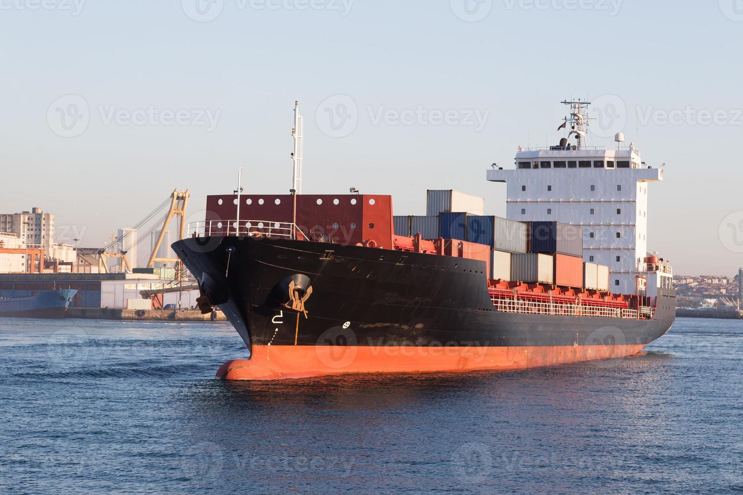 Container Ship in sea photo
