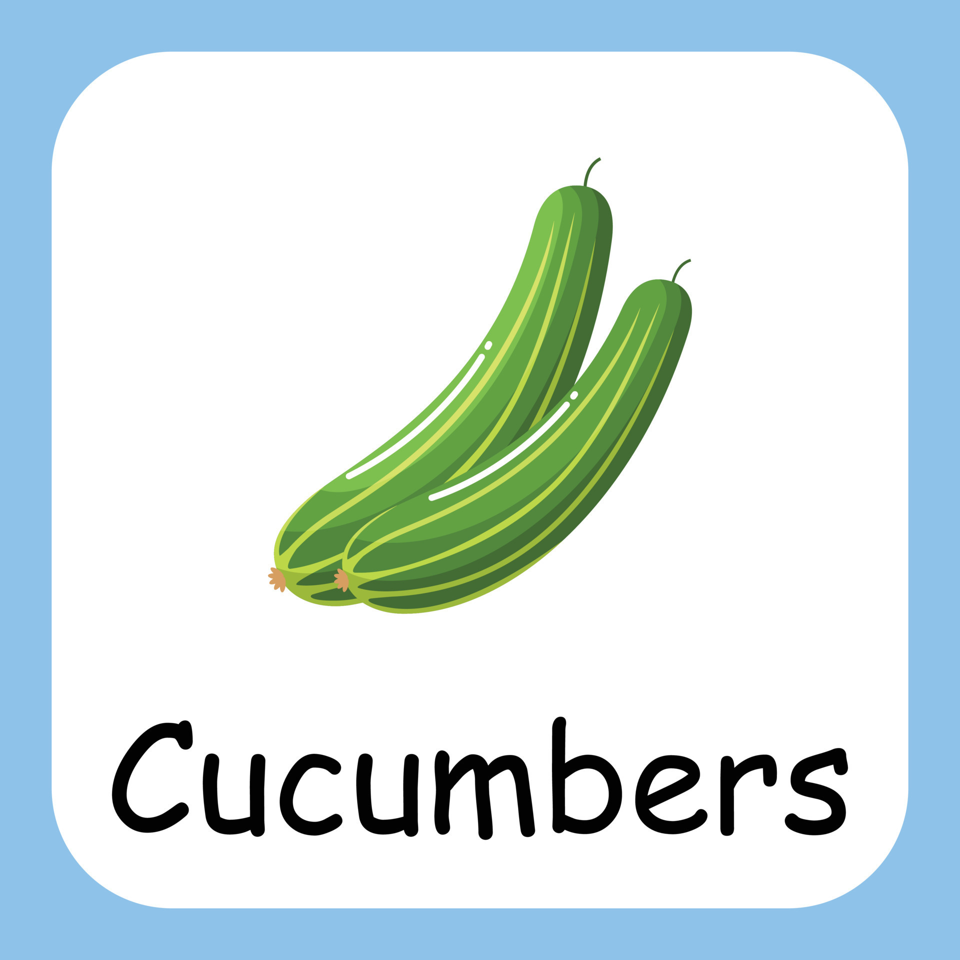 Cucumber Clip art with text, Flat design. Education for kids. Vector