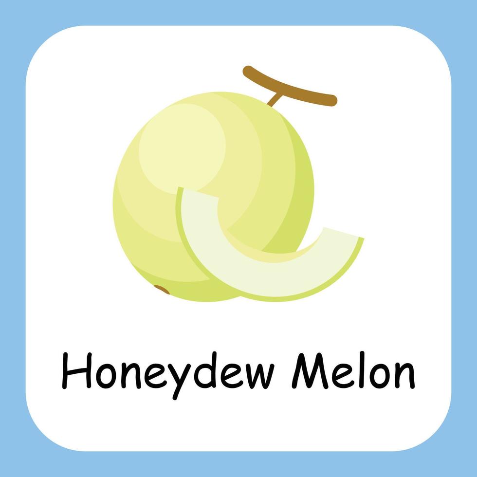 Honeydew Melon Clip art with text, Flat design. Education for kids. Vector Illustration