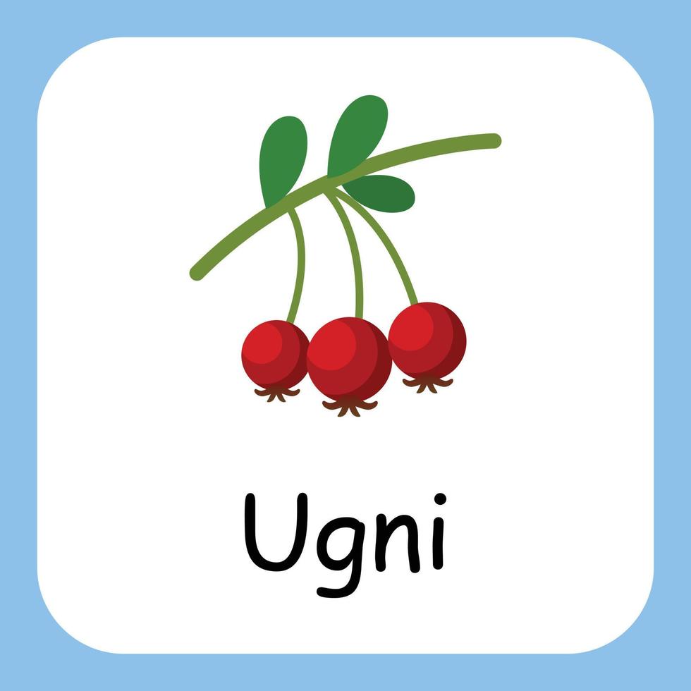 Ugni Clip art with text, Flat design. Education for kids. Vector Illustration