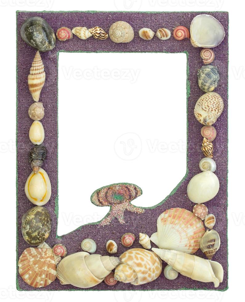 picture frame with seashell isolated on white photo