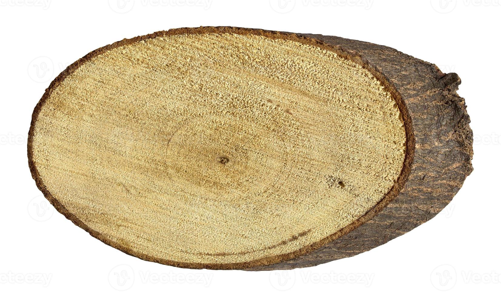 tree stump isolated on white with clipping path photo