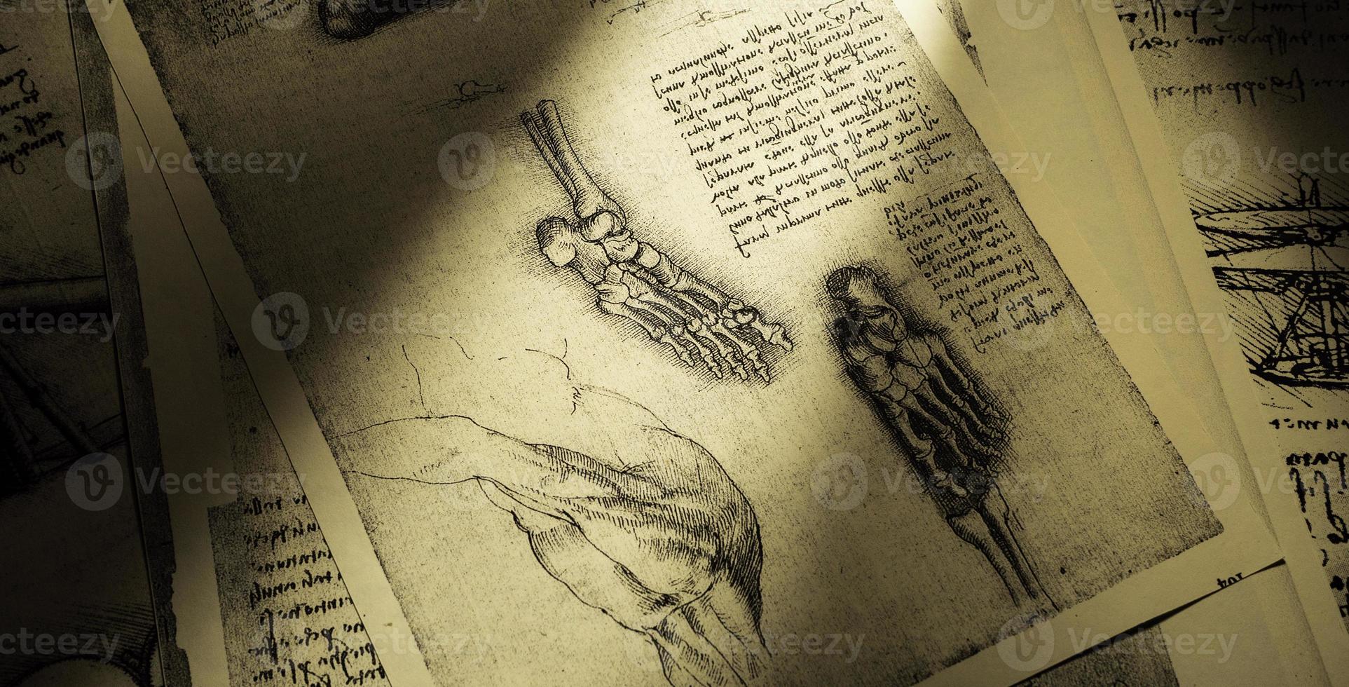 arte de anatomía de leonardo da vinci en la exposición médica de kandy foto