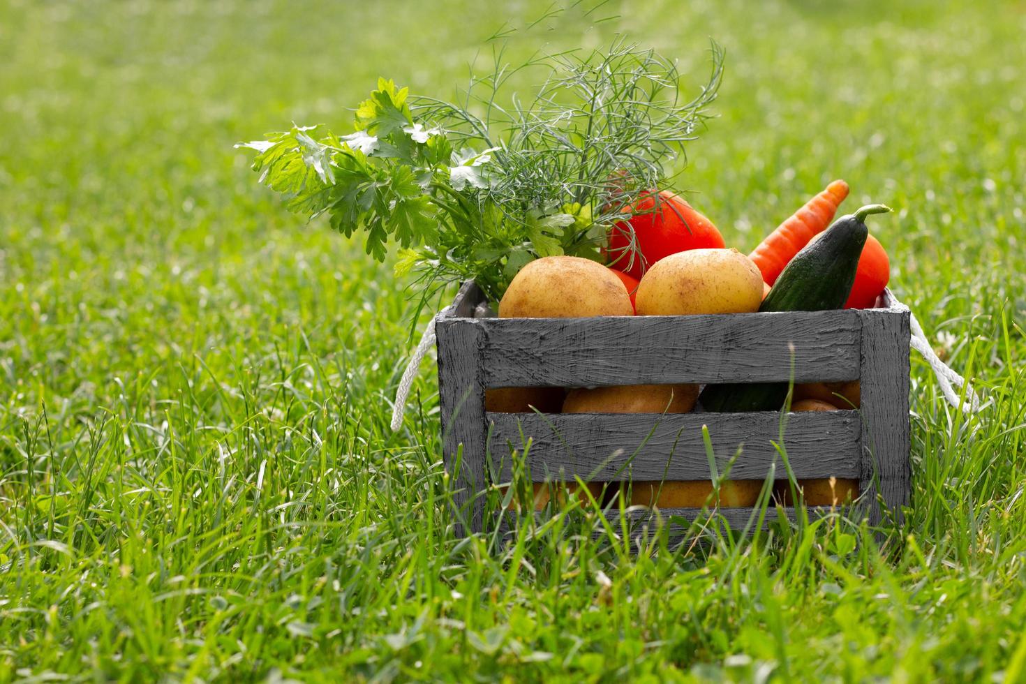 autumn harvest in a wooden box on the grass photo