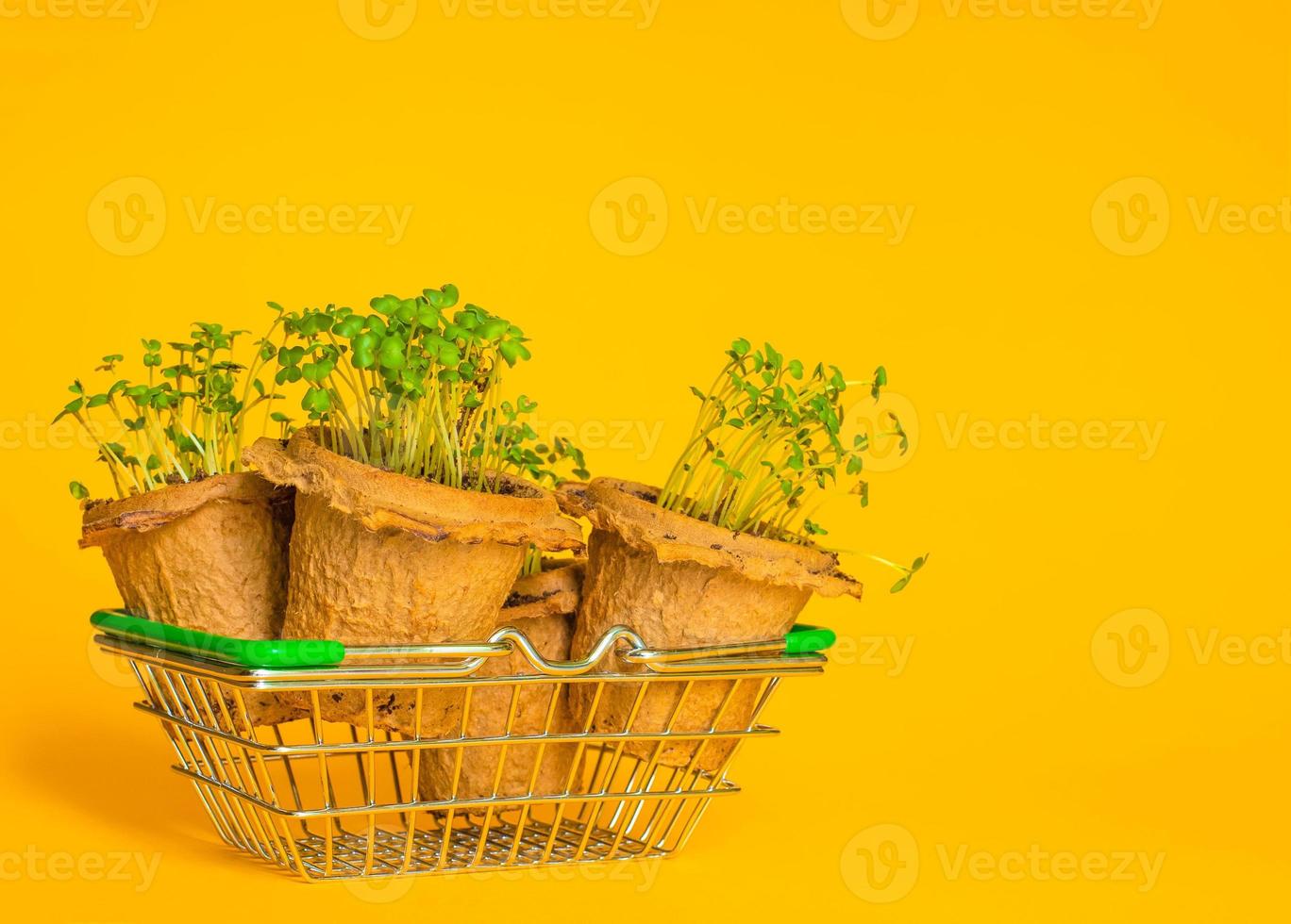 flower seedlings in peat pots and a metal basket on a yellow background. concept of online market, delivery, shopping in online store. Agriculture photo