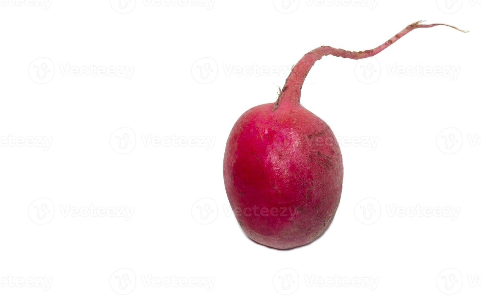 Radish on a white background. Harvest from a personal plot photo