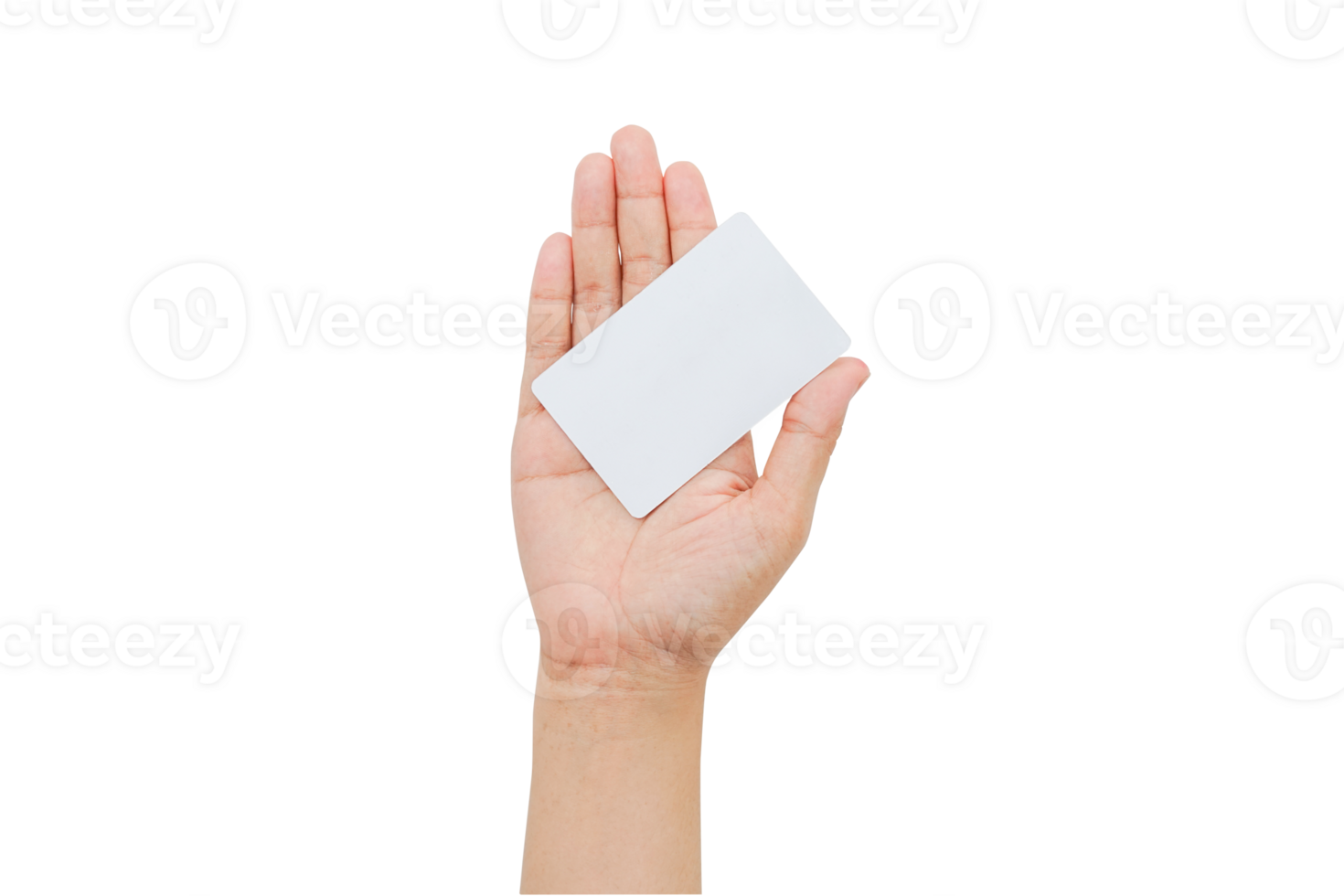 hand holding card isolated background 11842100 PNG