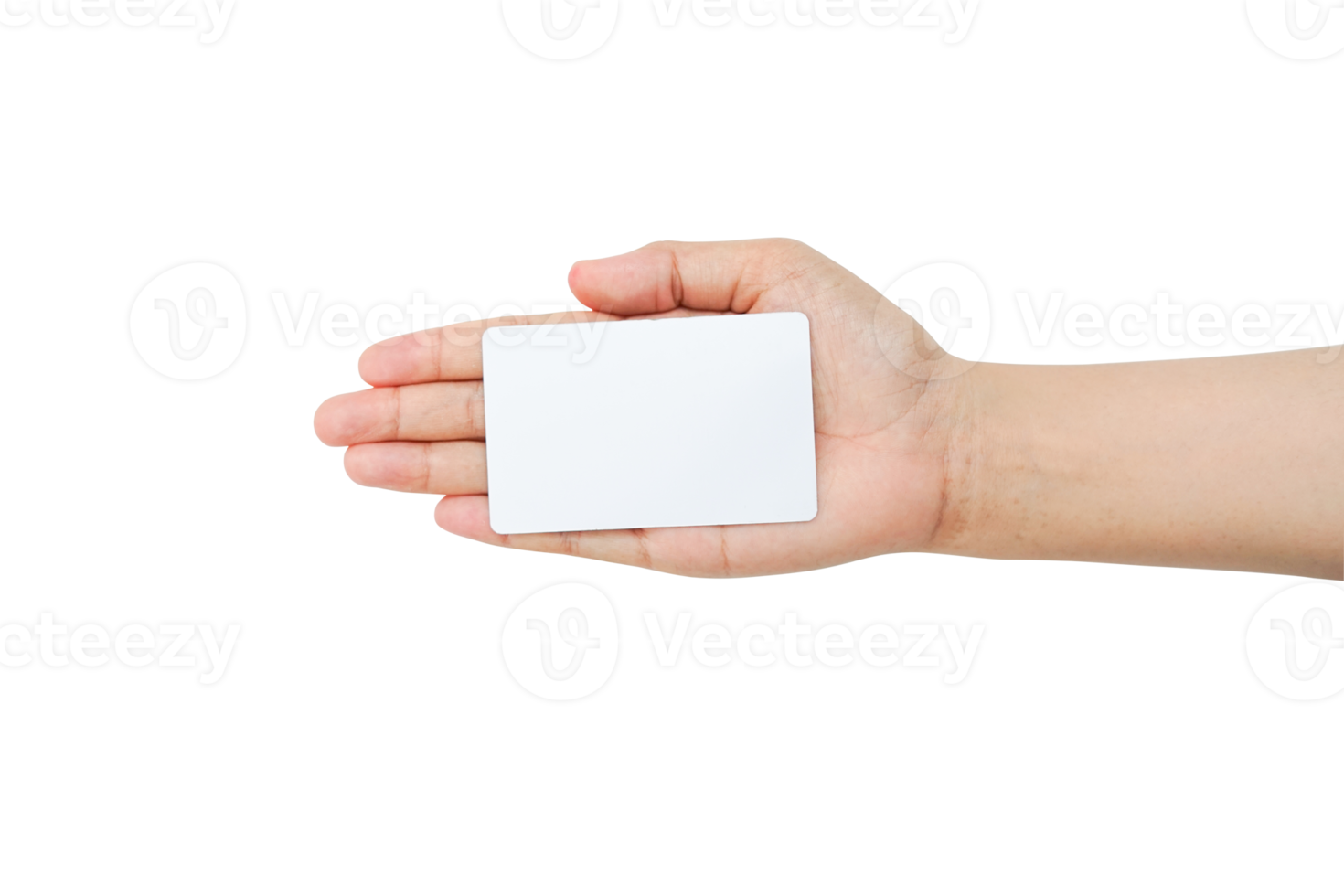 hand holding card isolated background png