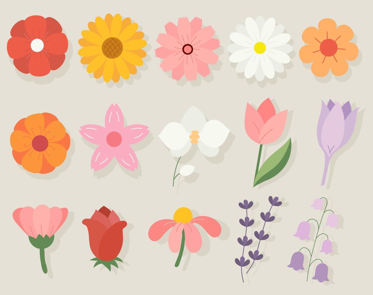 colección de ilustraciones de flores dibujadas a mano vector