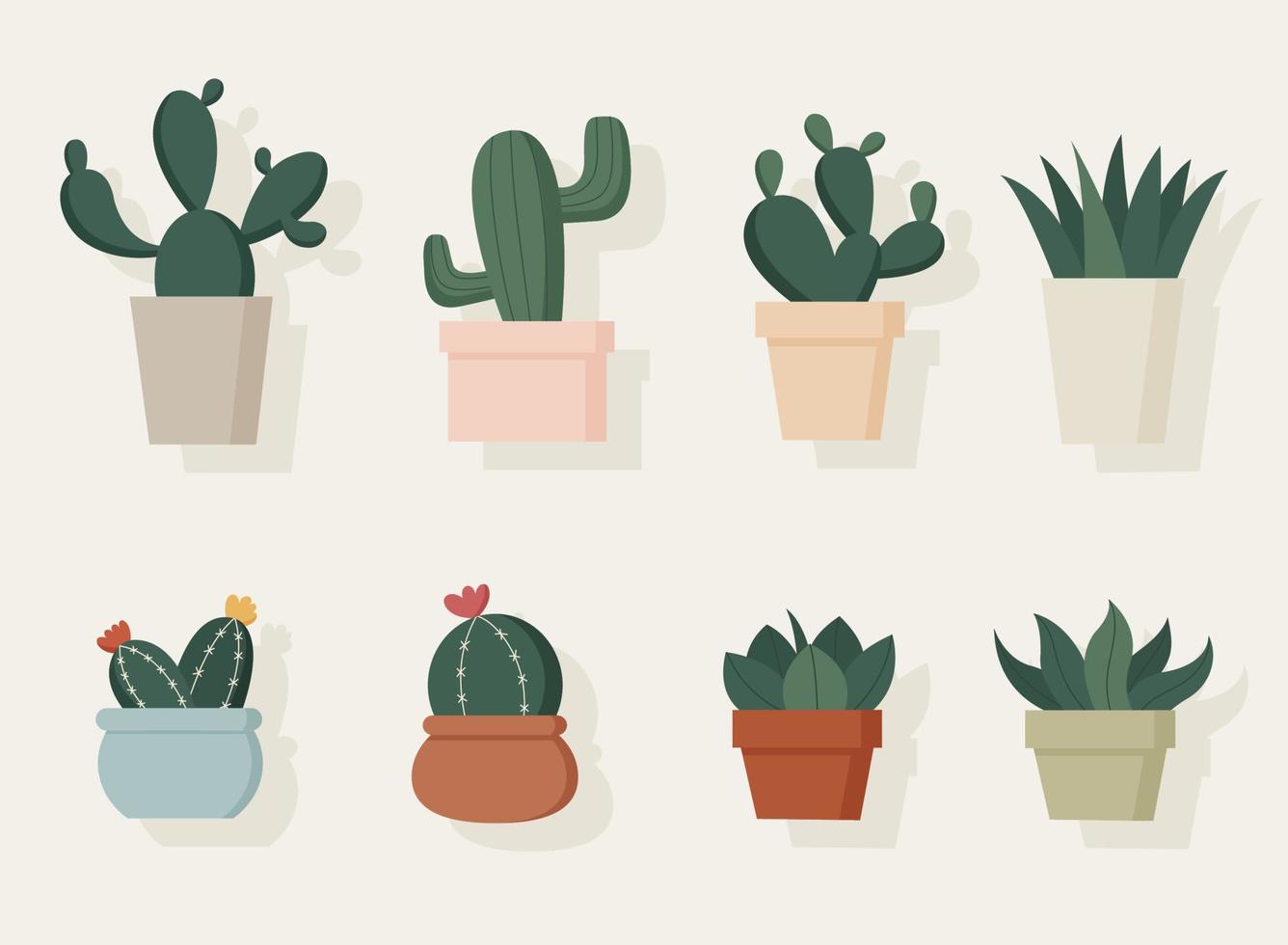 Hand drawn cactus illustration collection vector