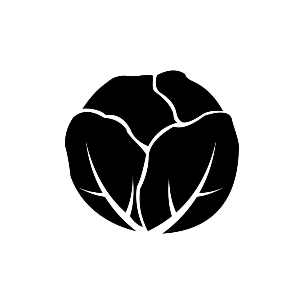 cabbage vegetable vector icon