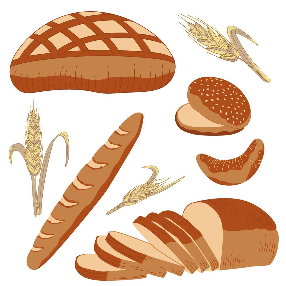 Set of bakery products. Collection of bread. Loaf of round rye bread, burger bun, baguette, french croissant. Bread and wheat spikes. Vector illustration for bakery, food design