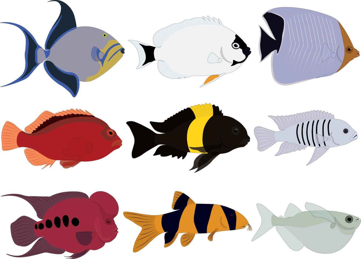 Ilustración de vector de colección de peces de acuario marino exótico tropical