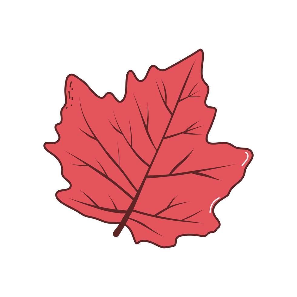 Autumn leaf. Vector illustration in hand drawn style