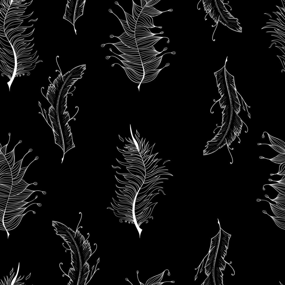 Seamless background with feather pattern vector