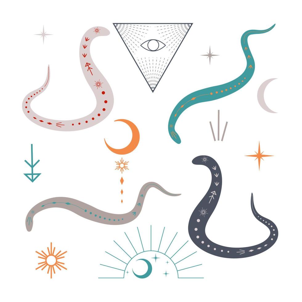 snakes and magic symbols vector