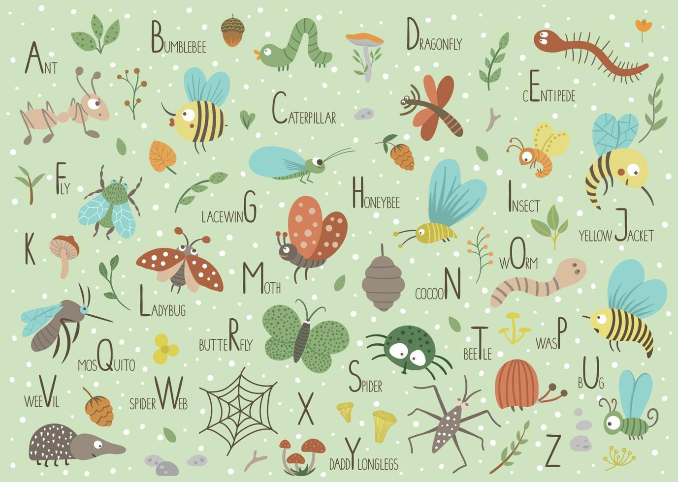 Woodland alphabet for children. Cute flat ABC with forest insects on green background. Horizontal layout funny poster for teaching reading on white background. vector