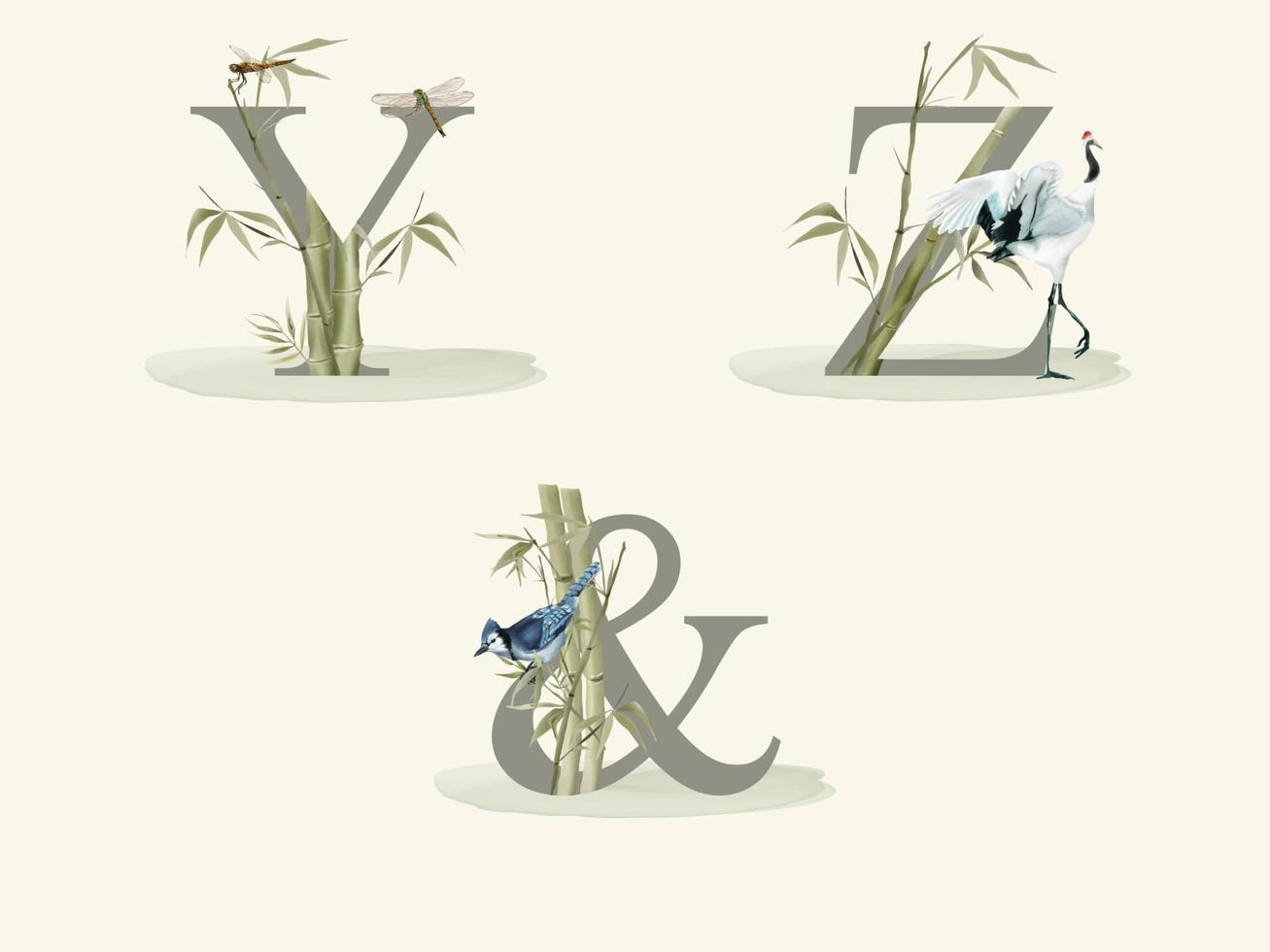 alphabet with bamboo hand drawn isolated vector