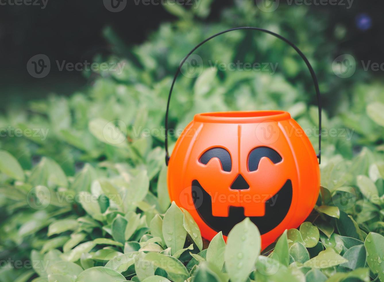 plastic halloween pumpkin figure basket on green leaves  in the garden. Jack o'lantern basket, halloween decoration trick or treat concept. photo