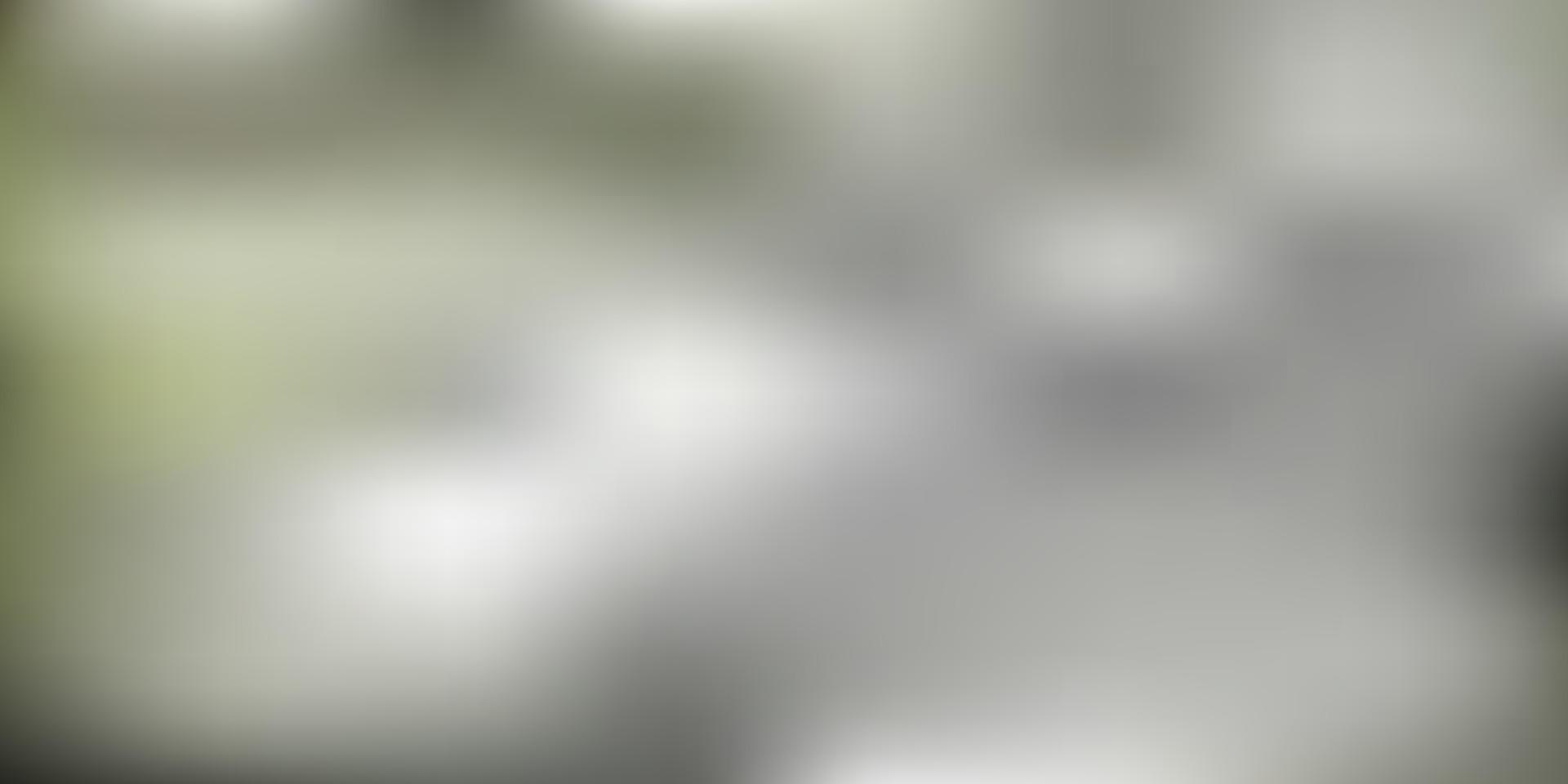 Light gray vector abstract blur layout.