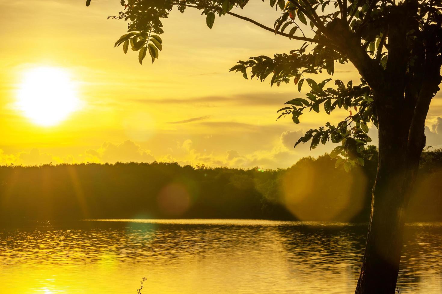 View of Colorful dramatic sky sunset or sunrise with clouds background on Water River in Forest photo