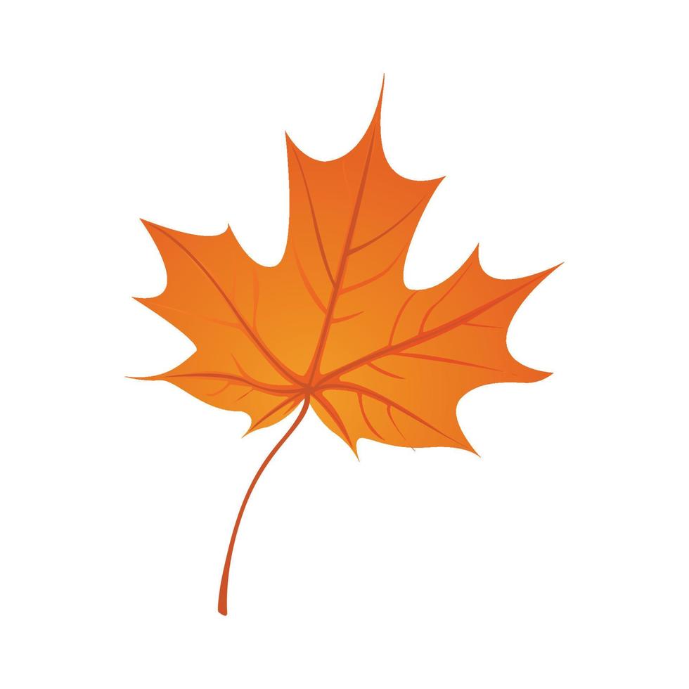 Single Autumn leaf vector illustration