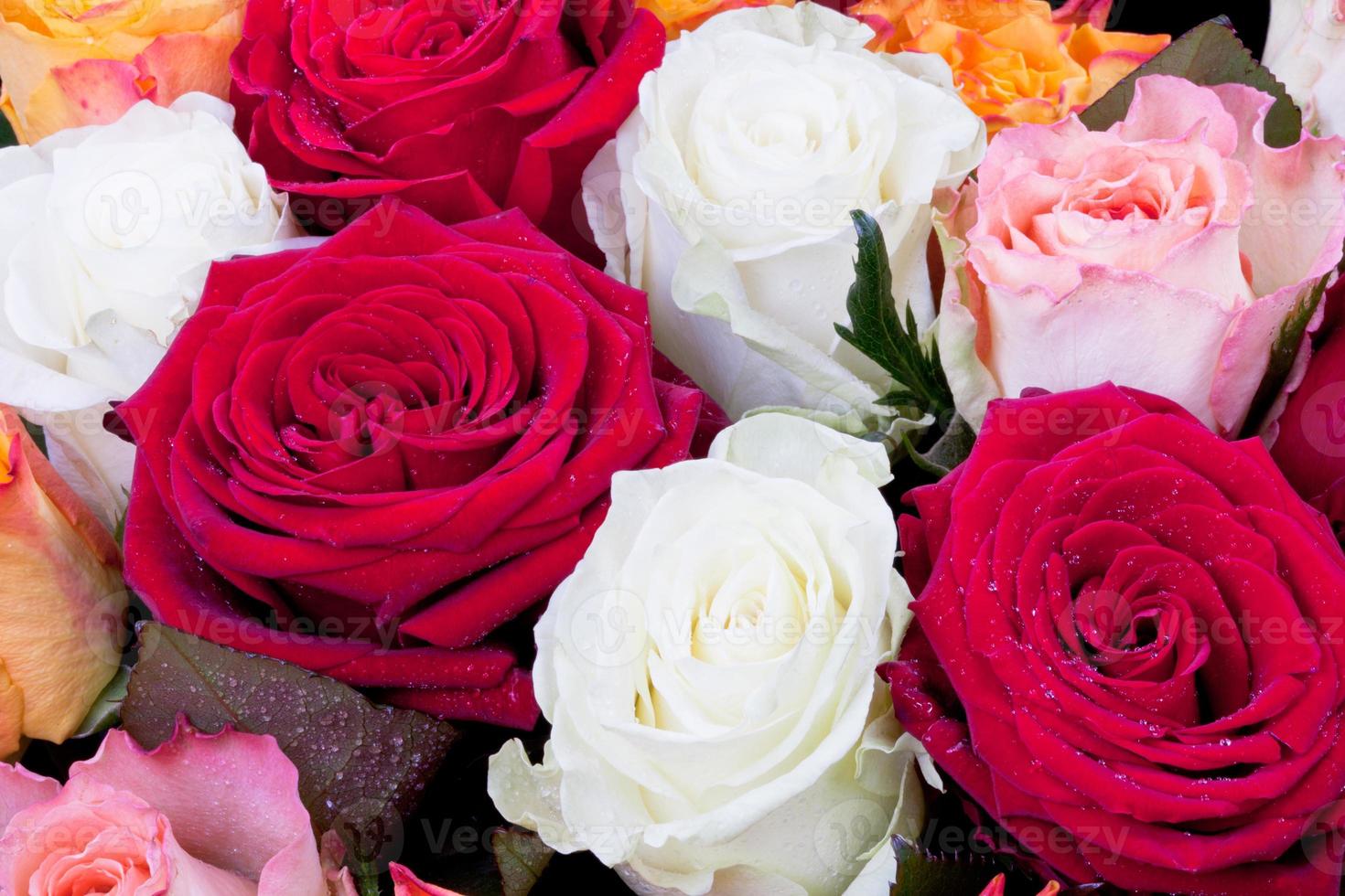 bouquet of roses photo