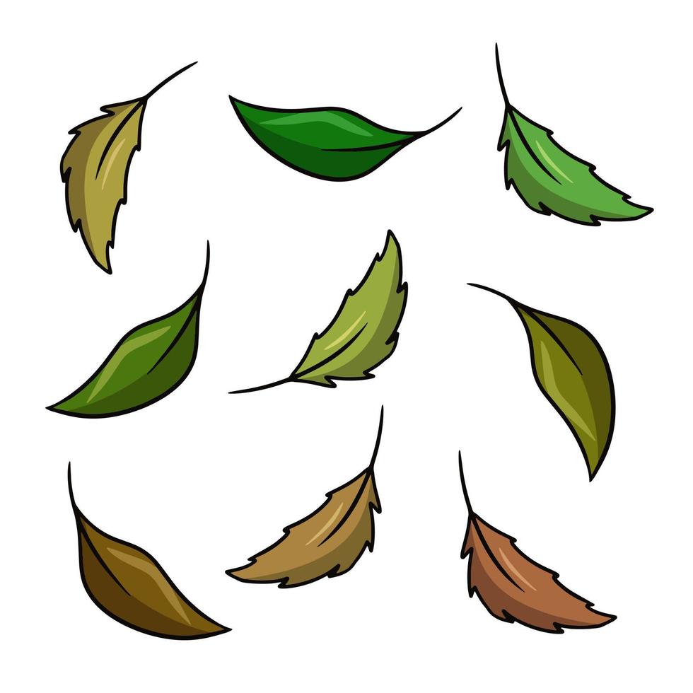 un conjunto de iconos de colores, hojas de té verde para preparar té, ingredientes de cóctel, ilustración de dibujos animados vectoriales en un fondo blanco vector