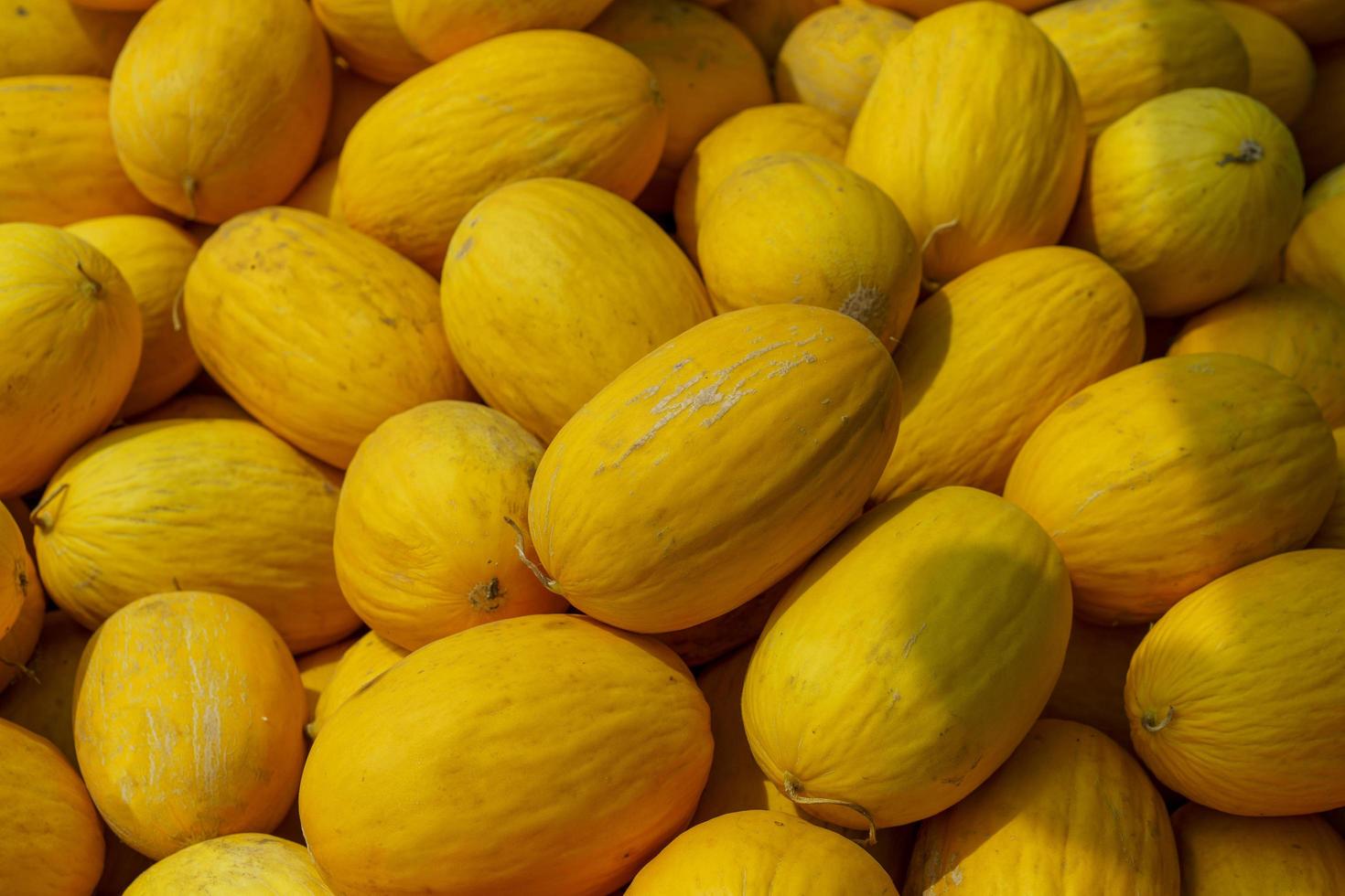 Natural background with lots of yellow melons photo