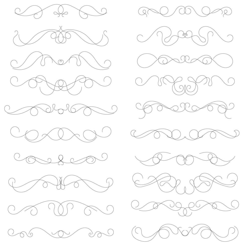 set of swirl border calligraphy and dividers decorative vector in vintage style on white background