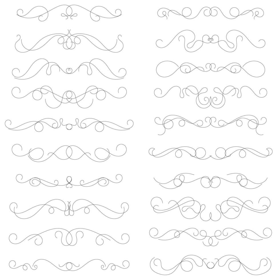 set of swirl border calligraphy and dividers decorative vector in vintage style on white background