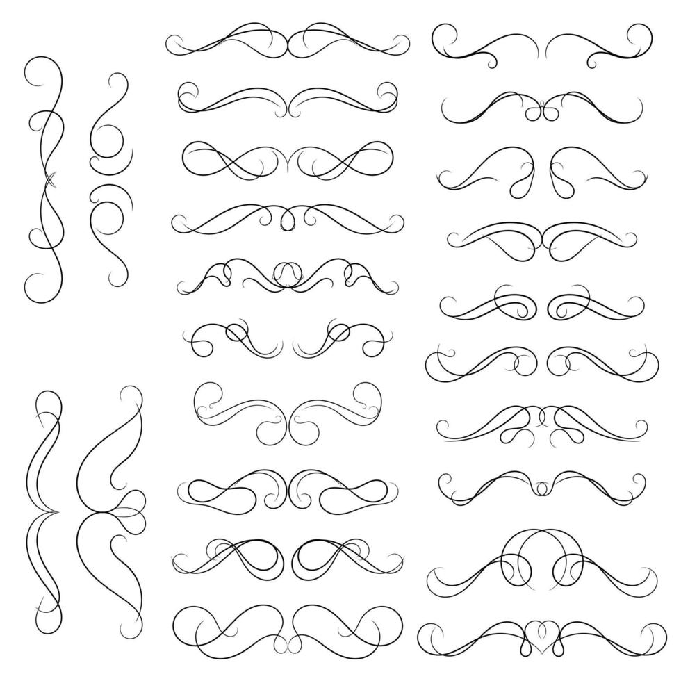 set of swirl border calligraphy and dividers decorative vector in vintage style on white background