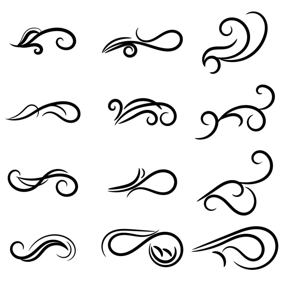set of swirl border calligraphy and dividers decorative vector in vintage style on white background
