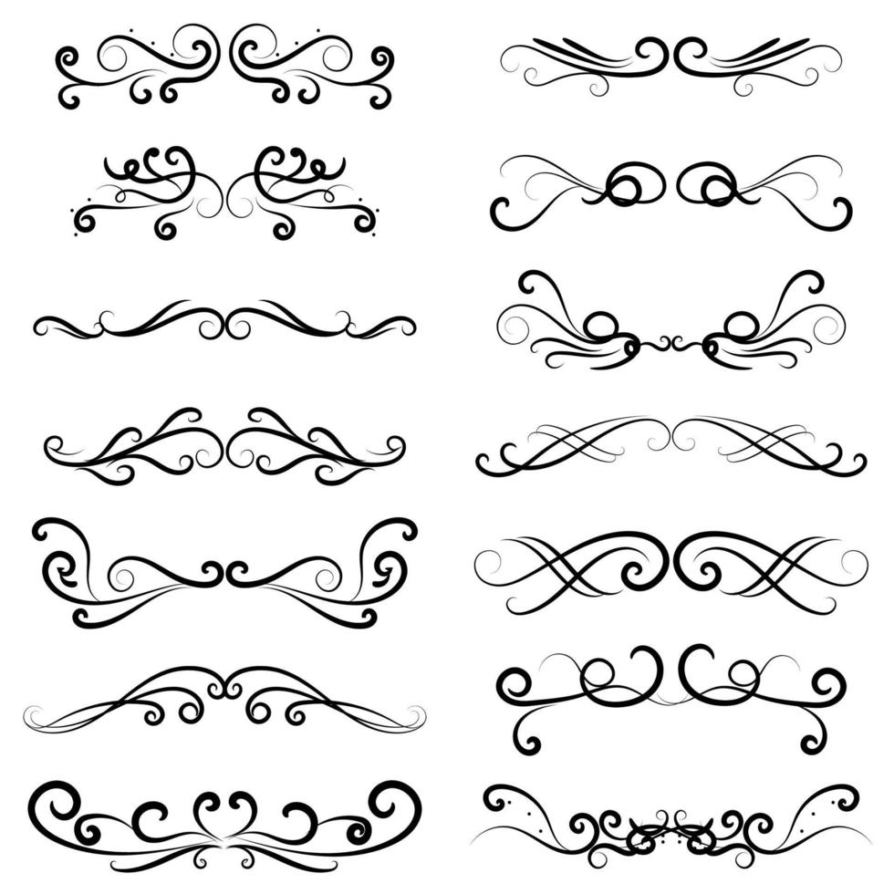 set of swirl border calligraphy and dividers decorative vector in vintage style on white background