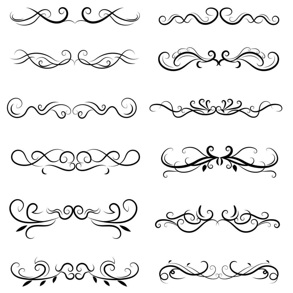 set of swirl border calligraphy and dividers decorative vector in vintage style on white background