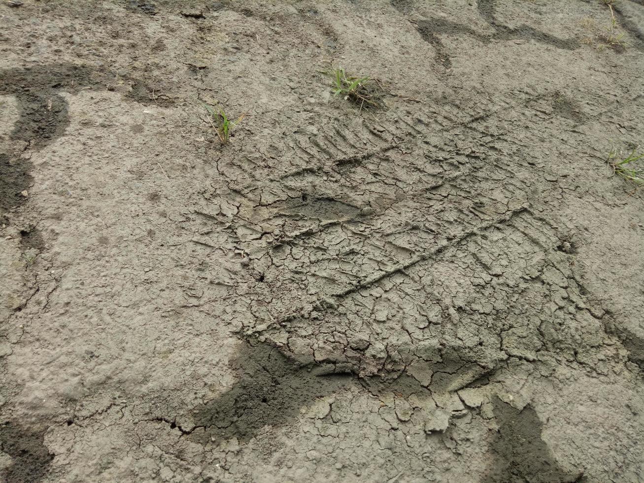 car tire prints on the mud photo