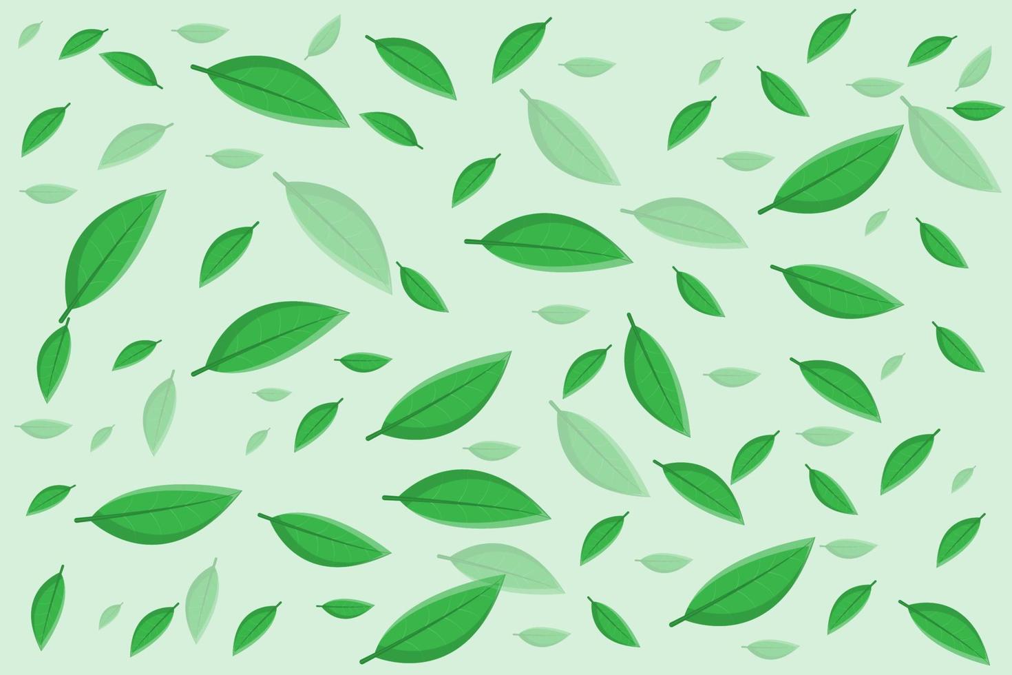 beautiful leaf or nature background in green vector