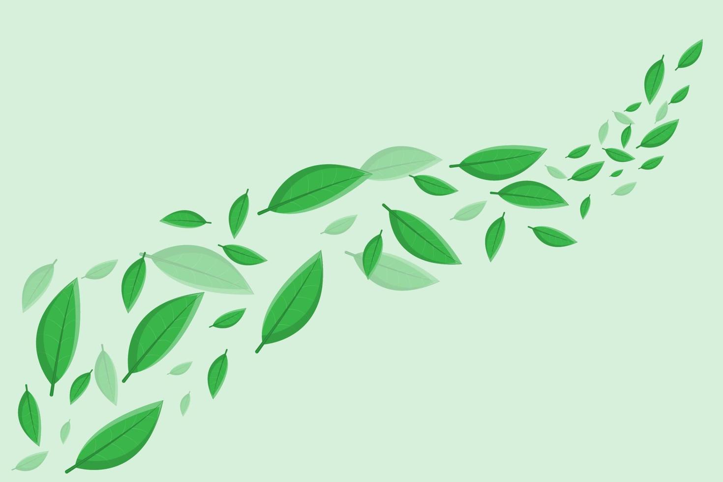 beautiful leaf or nature background in green vector
