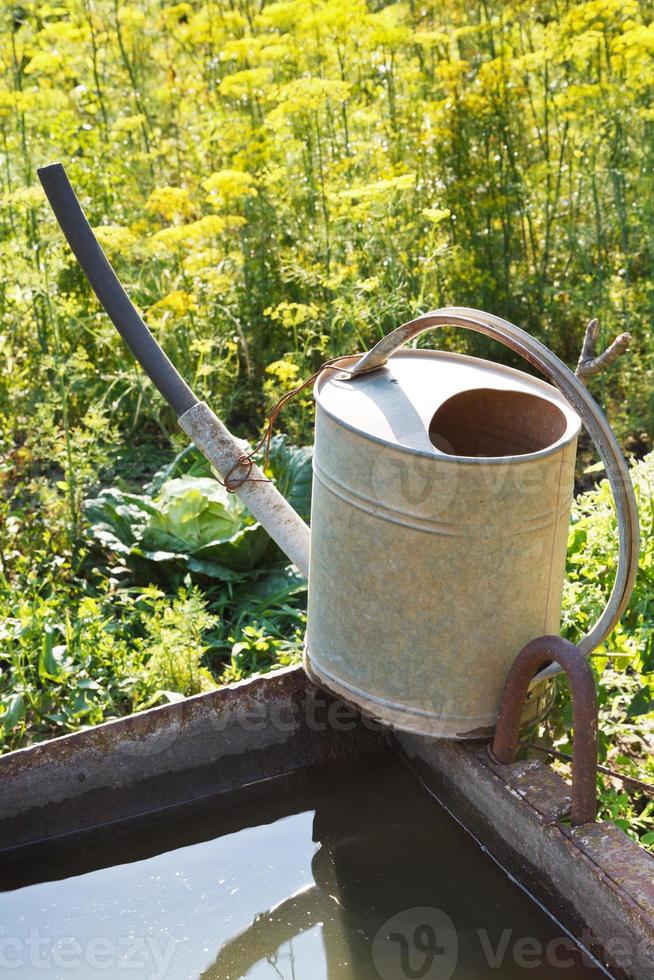 handshower on basin with water for garden photo