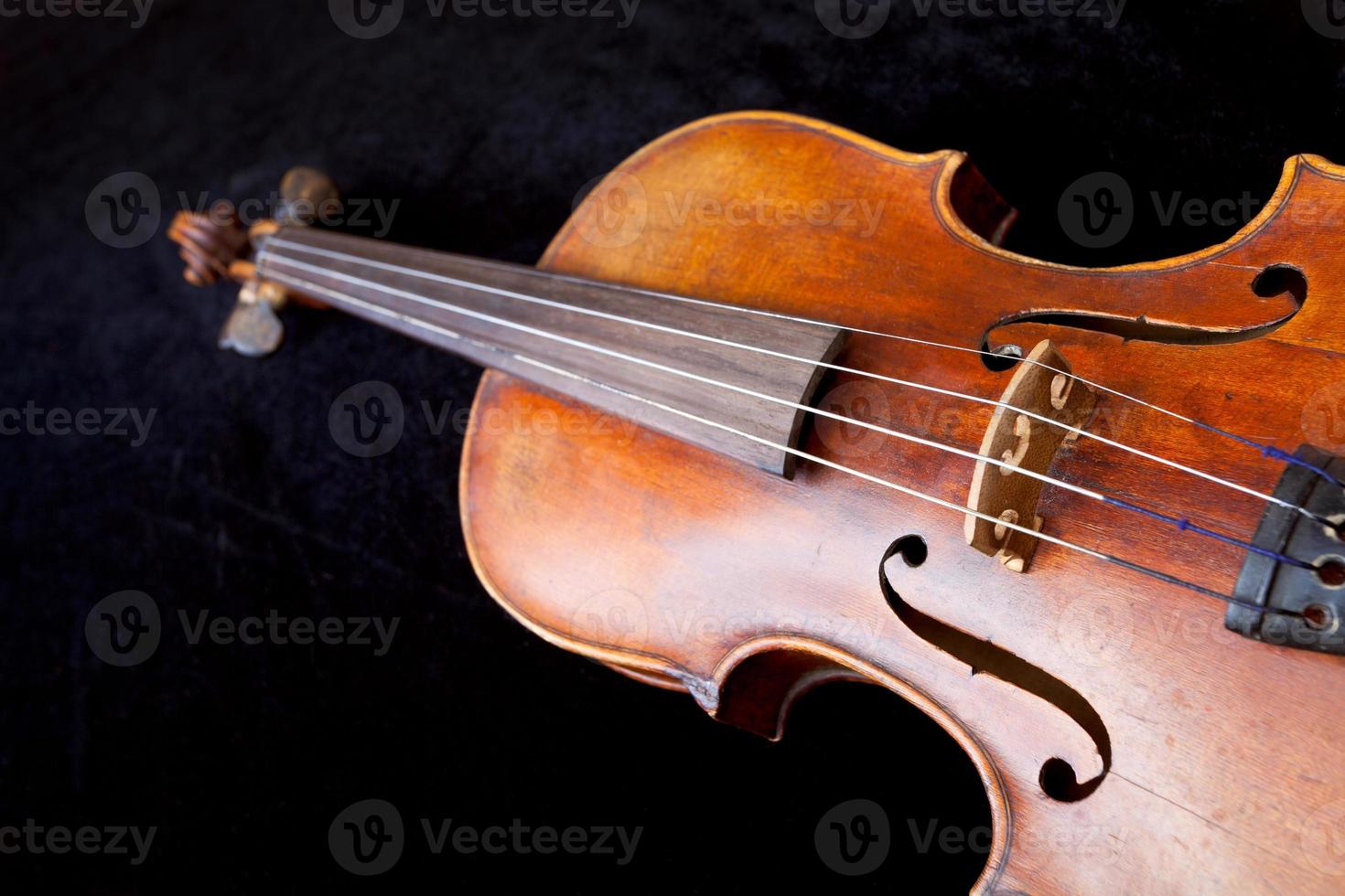 violin deck on black velvet background photo